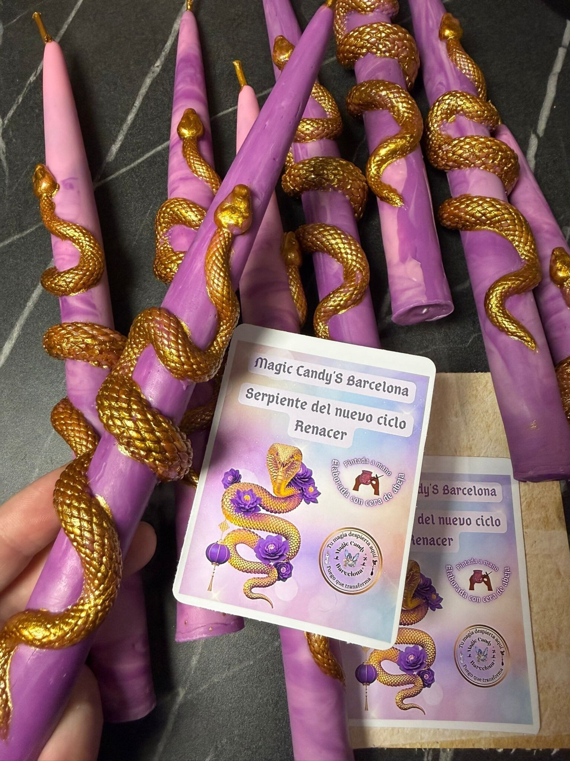 Vela edición Renacer año 1 2026 - 1