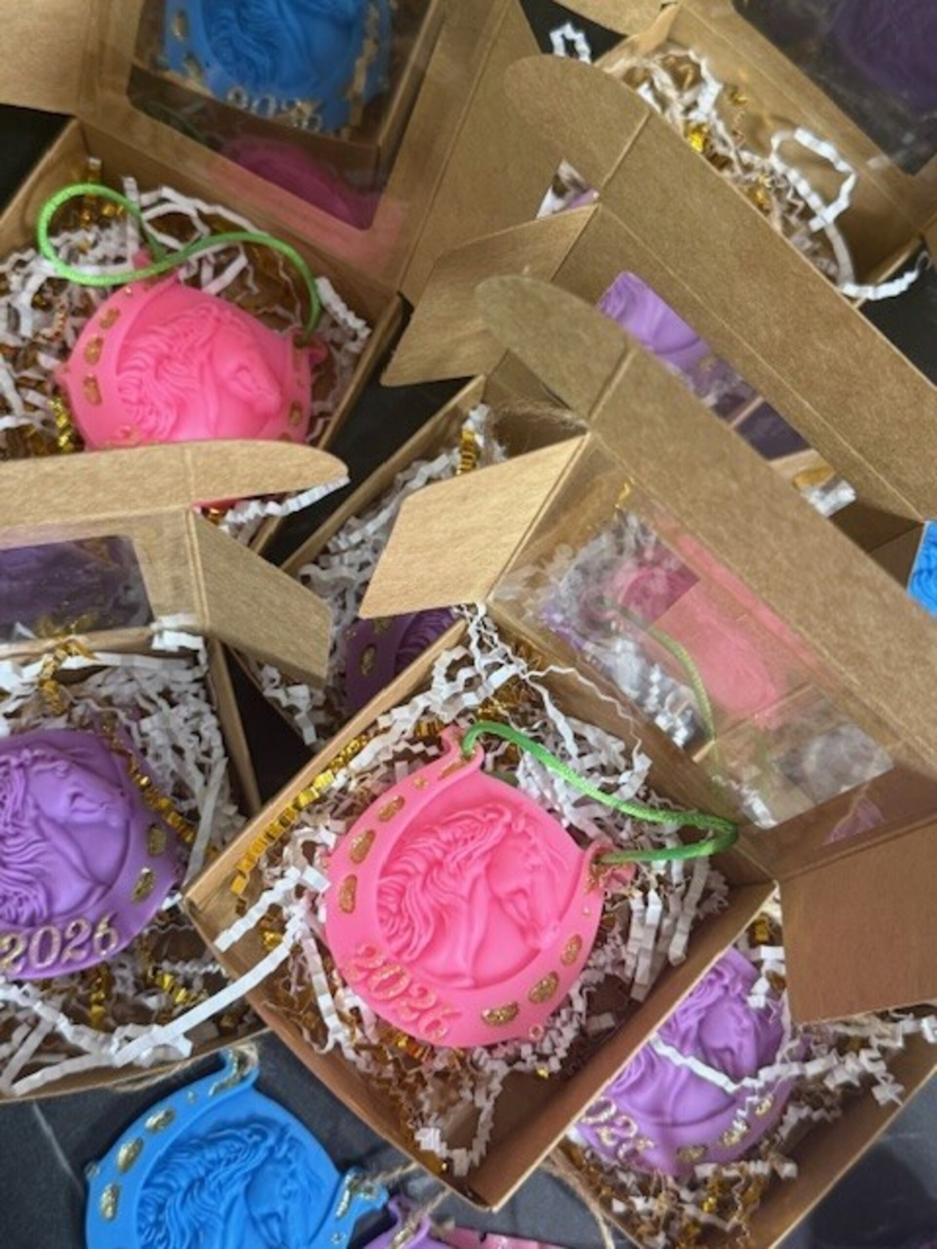 El Botiquín de la Bruja Caballo Rayo Abrecaminos 2026 - 3